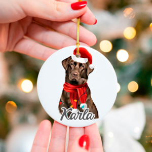 Juleophæng med brun labrador med nissehue og julelys